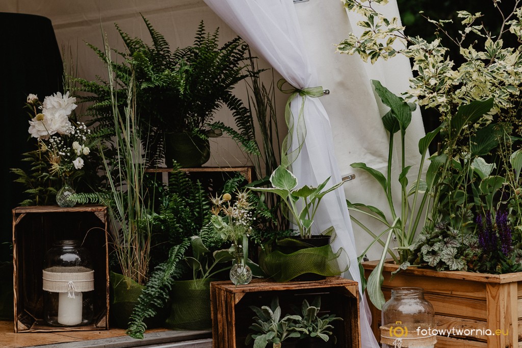 Dekoracja wesela z paproci i roślin doniczkowych na drewnianych skrzyniach